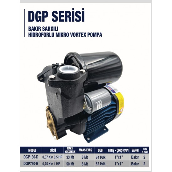 SU POMPASI DGP 750- IBEL TECH  HİDROFORLU 1 HP